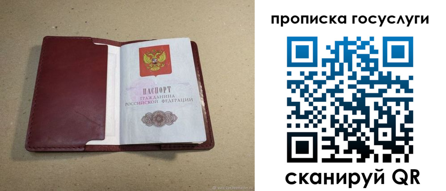 прописка поиск в Балабаново